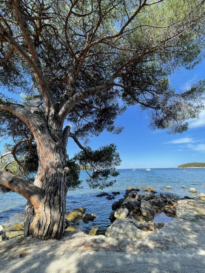 Clorinda Sea View Free Parking Appartement Rovinj Buitenkant foto